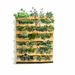Un jardin vertical avec des palettes