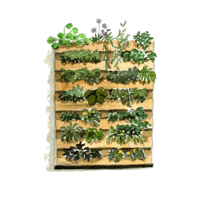 Un jardin vertical avec des palettes