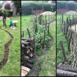 Une-«-haie-morte-»-ou-«-haie-seche-»