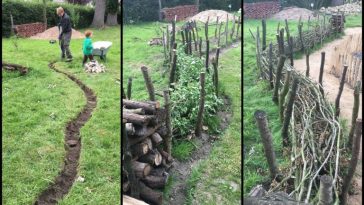 Une-«-haie-morte-»-ou-«-haie-seche-»