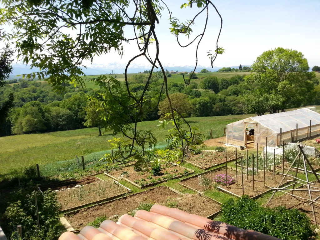 Construire une Serre en Bois, Plan de construction en photos Design et idées. Une serre de jardin à la maison.