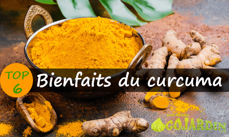 Les six bienfaits du curcuma pour la santé