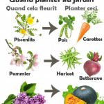 Conseils de jardin à l'ancienne