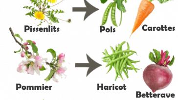 Conseils de jardin à l'ancienne