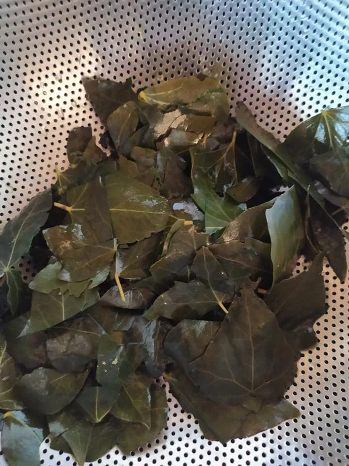 Comment faire un détergent à lessive fait maison avec du lierre