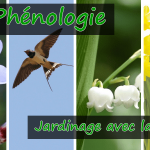 phénologie jardinage avec la nature
