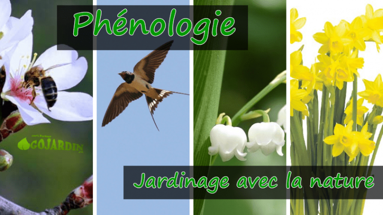 phénologie jardinage avec la nature