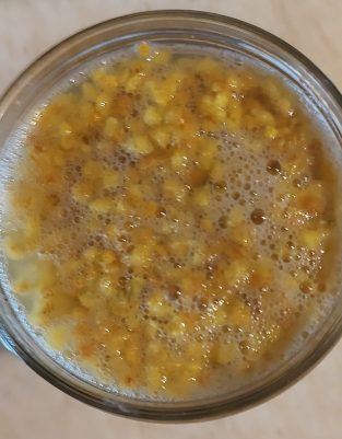 La fermentation du moût de mimosa