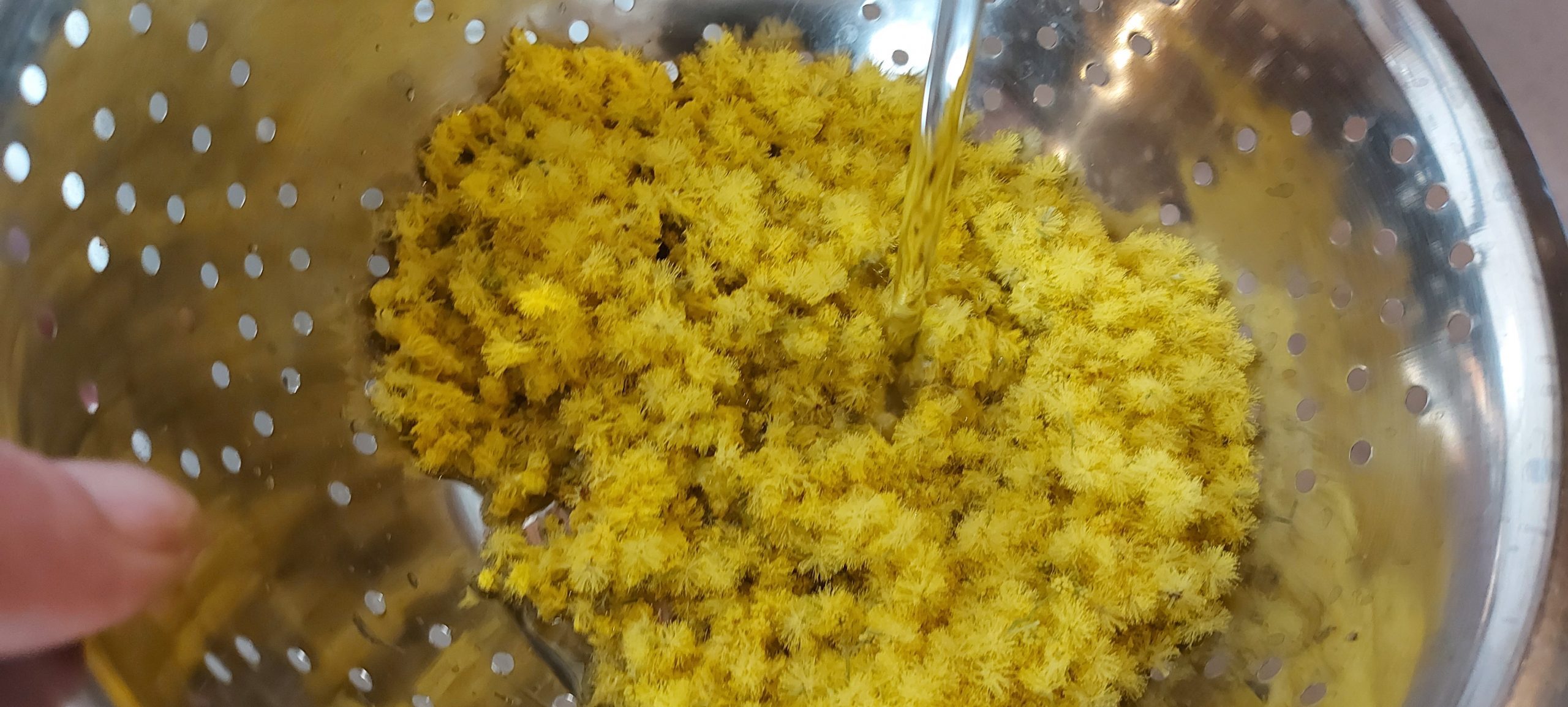 Lavez rapidement les fleurs de mimosa