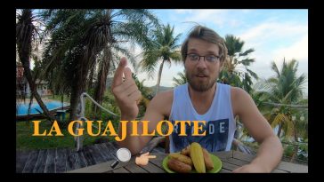 Guajilote La Canne Jamaïque. Un fruit rare et bénéfique