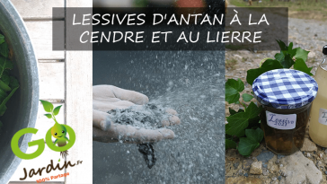 LESSIVES D'ANTAN À LA CENDRE ET AU LIERRE