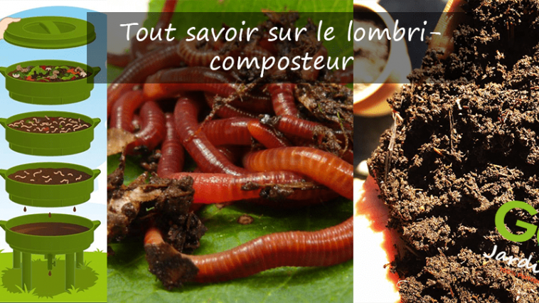 comment fonctionne lombricomposteur