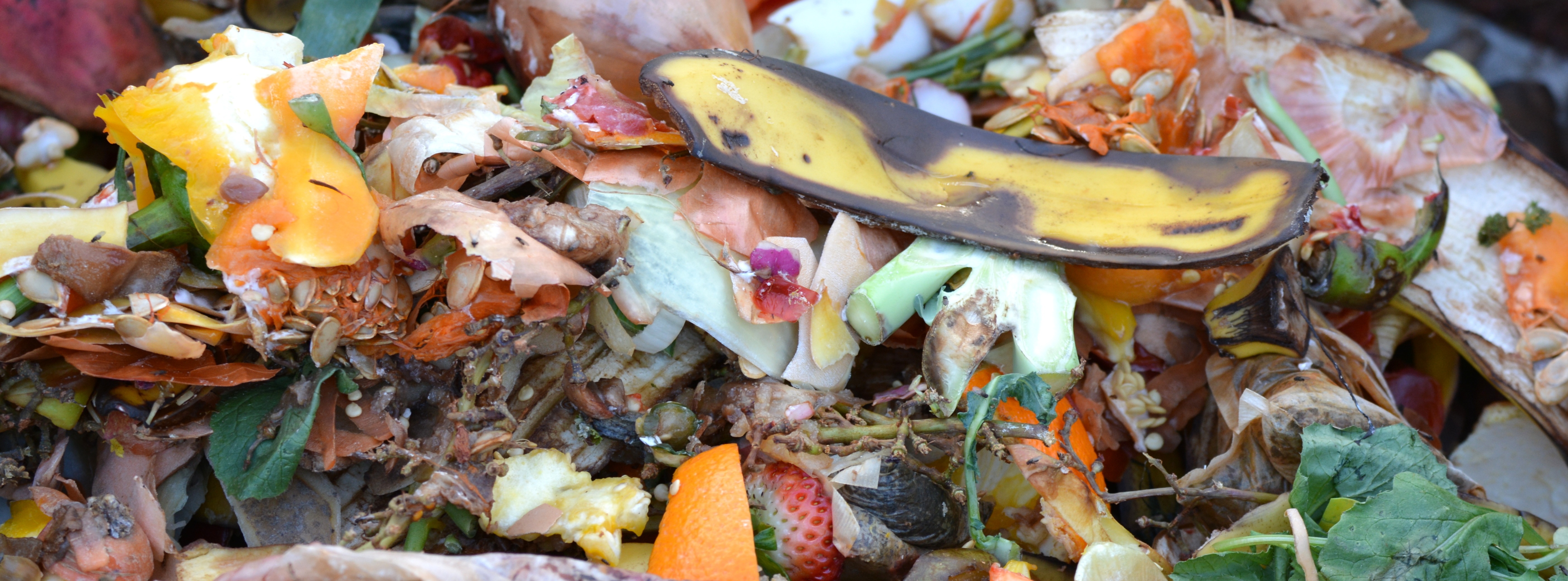 développement du compostage domestique