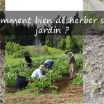 Comment bien désherber son jardin ?