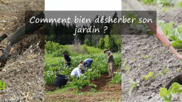 Comment bien désherber son jardin ?