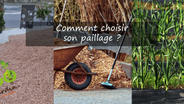 Découvrez comment choisir son paillage pour un jardinage écologique, en utilisant des matériaux qui respectent l’environnement et la biodiversité.