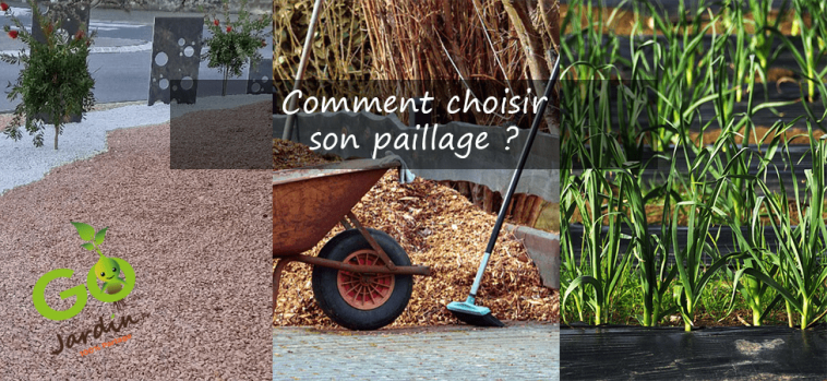 Découvrez comment choisir son paillage pour un jardinage écologique, en utilisant des matériaux qui respectent l’environnement et la biodiversité.