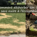 Comment désherber son jardin sans nuire à l’écosystème ?