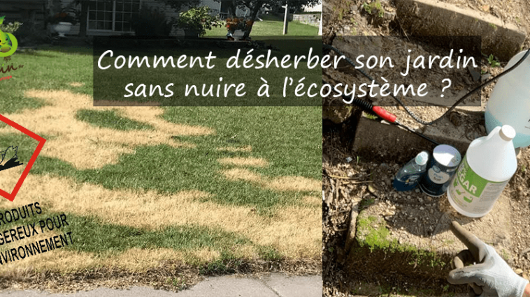 Comment désherber son jardin sans nuire à l’écosystème ?