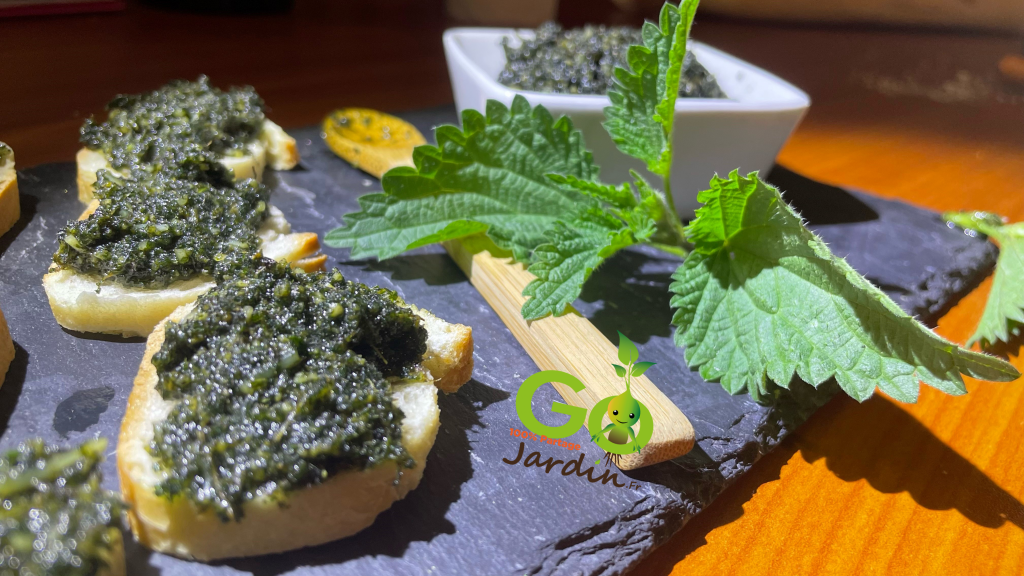 Découvrez comment faire un délicieux pesto d’orties, une sauce originale et savoureuse à base de plantes sauvages. Suivez notre recette facile et rapide et régalez-vous !