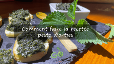 Comment faire la recette pesto d'orties