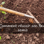 Comment réussir son faux semis