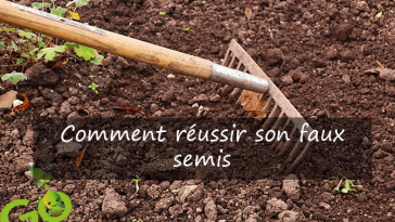 Comment réussir son faux semis