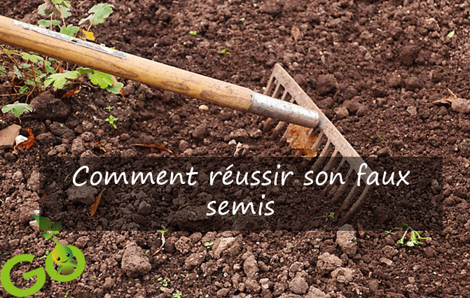 Comment réussir son faux semis