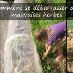 Comment se débarrasser des mauvaises herbes
