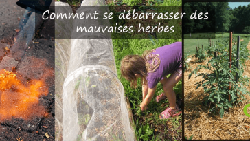 Comment se débarrasser des mauvaises herbes