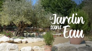 Le Jardin sans eau : un espace expérimental pour apprendre à jardiner sans arroser