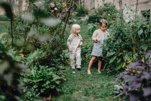 Le jardin économe en eau, ou jardin sec