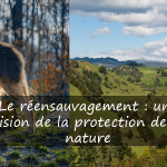 Le réensauvagement : une vision de la protection de la nature