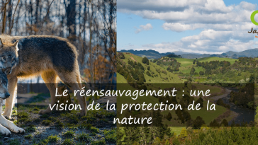 Le réensauvagement : une vision de la protection de la nature