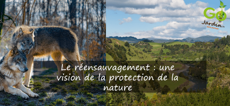 Le réensauvagement : une vision de la protection de la nature
