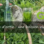 comment faire de l’eau d’ortie