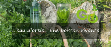 comment faire de l’eau d’ortie