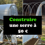 Serre tunnel à petit prix