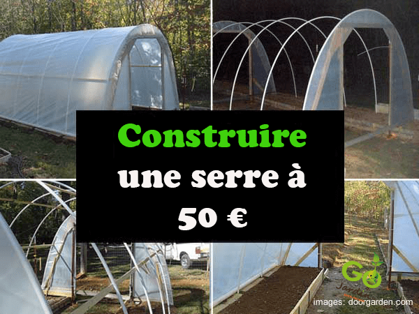 Serre tunnel à petit prix