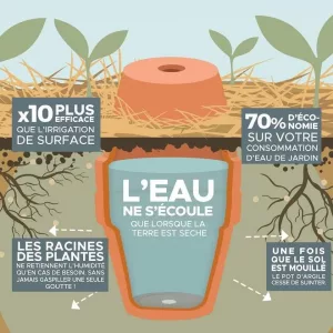 Arrosage goutte à goutte avec des Oyas