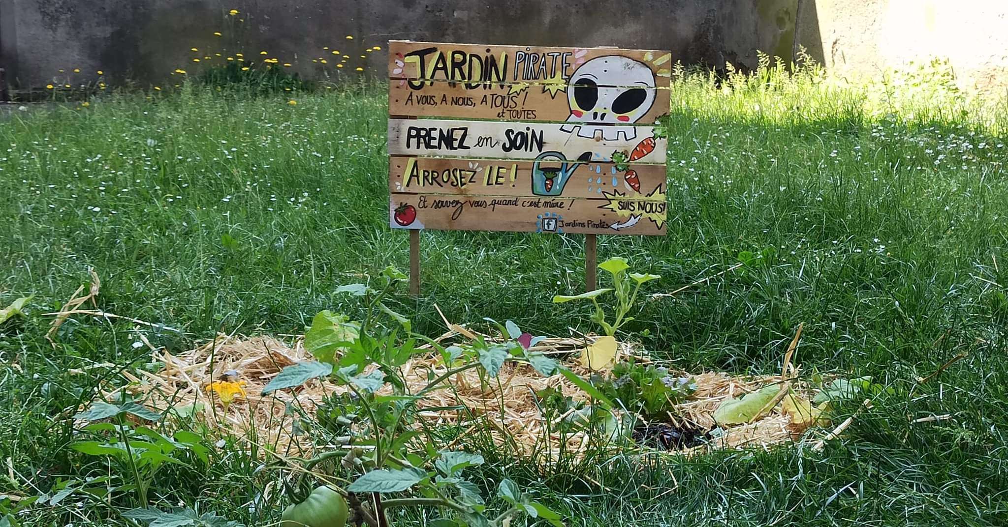 panneau explicatif pour mon jardin potager pirate