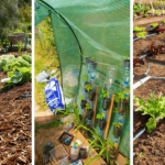 💦 Comment fabriquer, utiliser un arrosage goutte à goutte maison