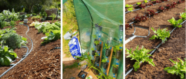 💦 Comment fabriquer, utiliser un arrosage goutte à goutte maison