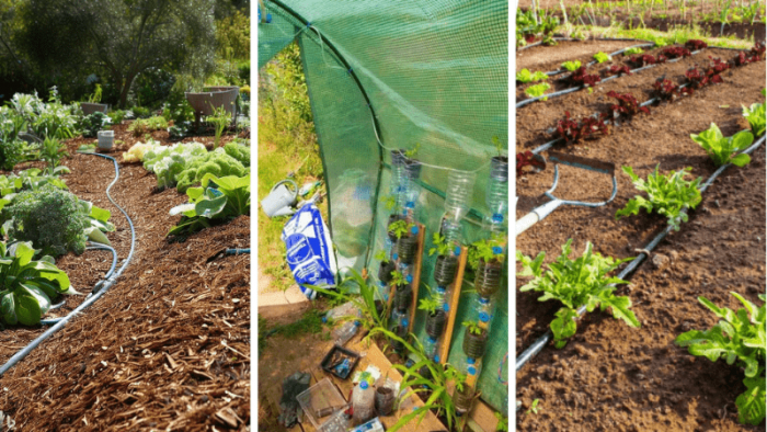 💦 Comment fabriquer, utiliser un arrosage goutte à goutte maison