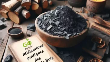 3 utilisations pratiques des cendres de bois dans le jardin