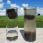 Différence entre sol labouré et sol sans labour