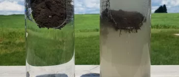 Différence entre sol labouré et sol sans labour