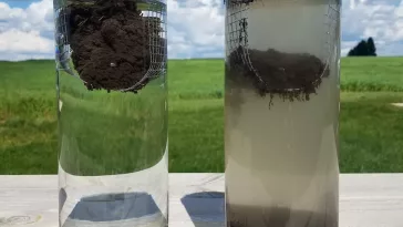 Différence entre sol labouré et sol sans labour