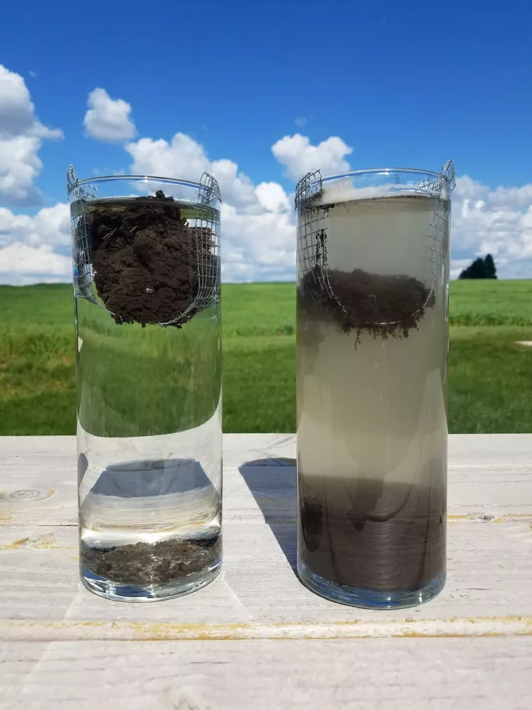 Différence entre sol labouré et sol sans labour