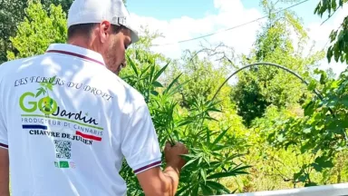 cbd shop des fleurs du dropt gojardin